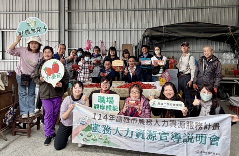 銀髮來參與、農忙有幫手 高市農業局推動銀髮人才投入小番茄採收包裝