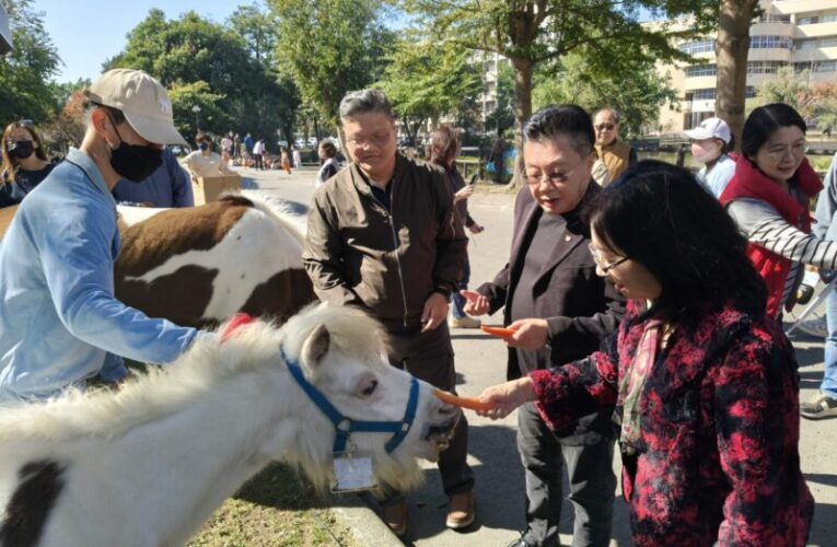 輔英科大喜迎黑天鵝與迷你馬共築永續校園 生態共融再添亮點