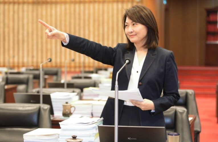 高雄市議員陳麗娜：新潮流復辟是高雄的危機！