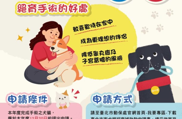 北市提高犬貓絕育與保險補助　最高可領5,000元