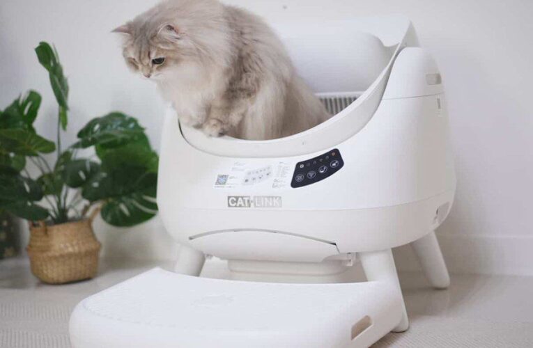 CATLINK  Open-X 翻滾喵  「精準預防」智慧照護愛貓超有感