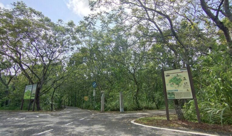 台糖攻淨零排放  碳捕捉技術、森林碳匯雙管齊下拚2050目標