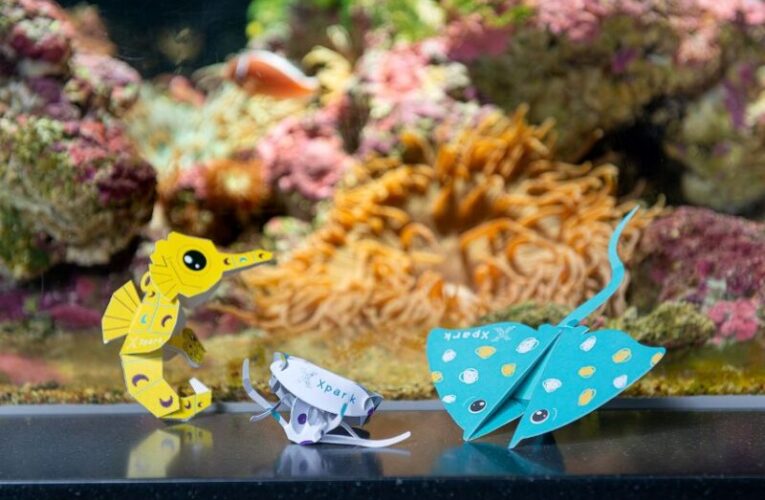 Xpark《海洋摺學家作品展-Origami Artworks》　寓教於樂新春探索