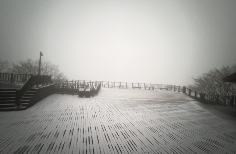 冷氣團發威太平山零下2度　霧淞銀白世界遊客嗨翻