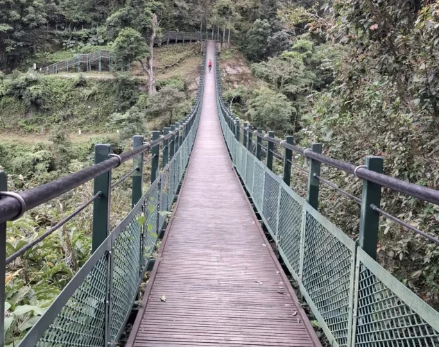 115年玉山東部園區　碳足瓦拉米步道字跡尋寶活動