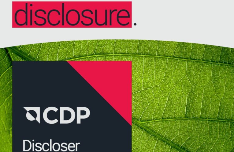 中鋼三連霸！CDP氣候變遷A-評級 領跑亞洲綠色鋼鐵新時代