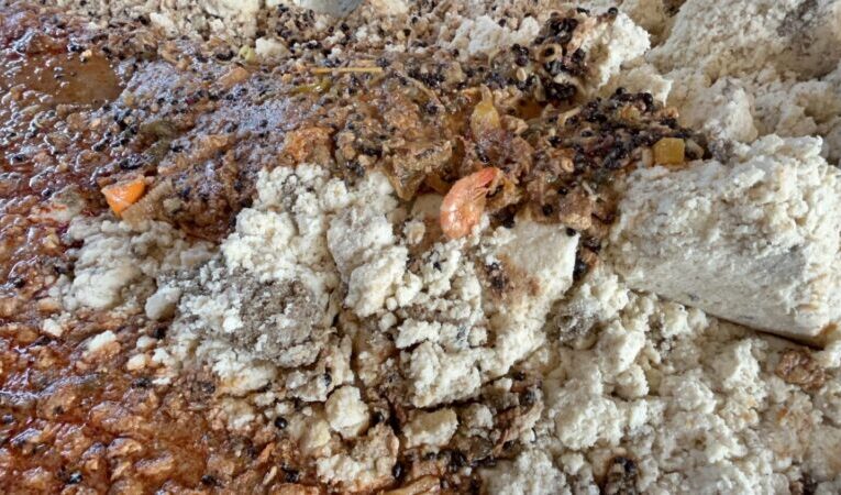 屏東長治鄉再查獲廚餘餵豬違規案