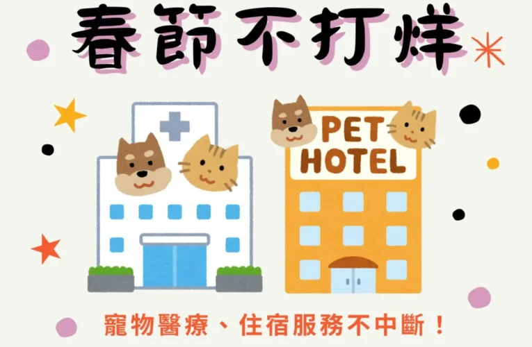 春節毛孩照護不打烊！台中市整合寵物醫療與照顧資源　陪伴飼主安心過好年