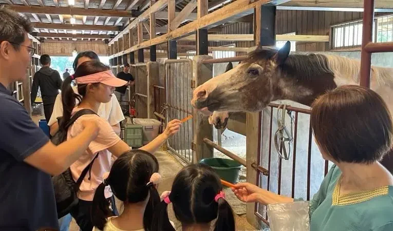 馬年走春　逛后里馬場賞櫻花、騎鐵馬迎新年