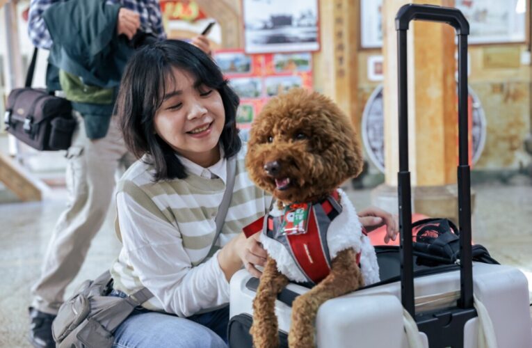 高雄動保處攜手鳳邑開漳聖王廟推「好伴平安」 信仰加持防疫守護 守護毛孩一輩子