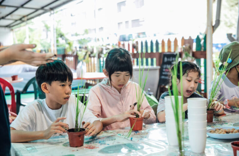 馬年走春首選！來高雄農村玩出新年味　親子農遊、焢窯DIY一次滿足