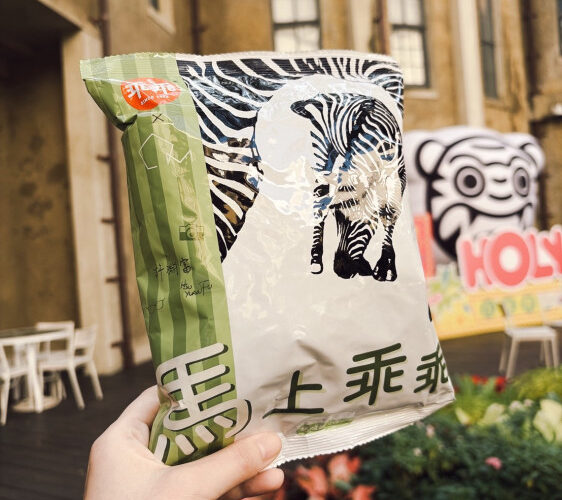 馬年走春新選擇！臺南美館僅休除夕 初一開館送「馬上乖乖」