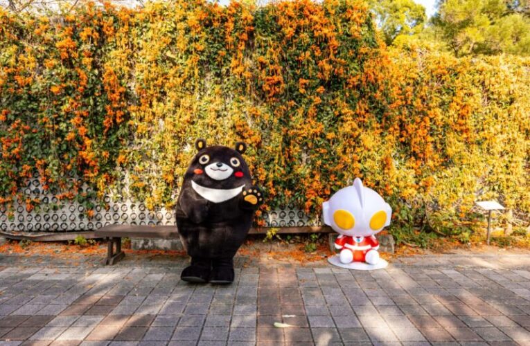 馬年高雄最精彩！2026「高雄冬日遊樂園」最強走春攻略看過來！