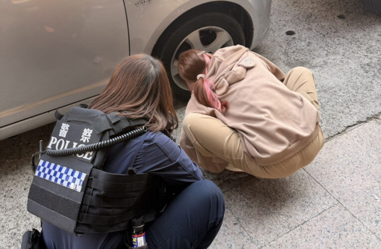 肉泥誘捕成功！岡山警春節救出受困可愛「初一」