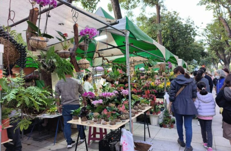2026金馬奔騰迎春花市暨花展 2/7起勞工公園熱鬧舉行