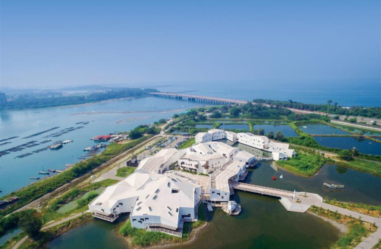 春節台江走春去！觀賞黑面琵鷺群舞、打卡最西端守望哨夕陽美景