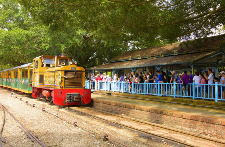 台糖烏樹林推蘭展期間限定五分車 全日14班次 10分鐘直達會場
