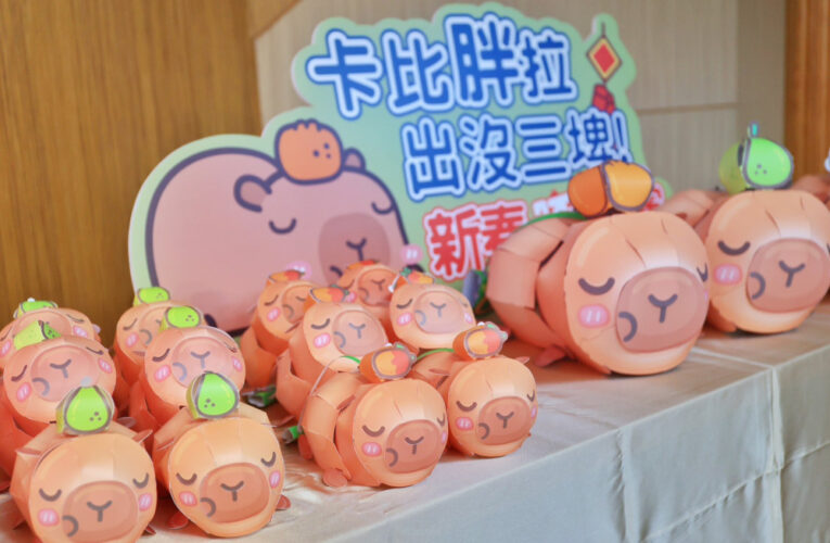 雙展齊發！臺南蘭展結合花卉科技展 九大套裝遊程同步推出