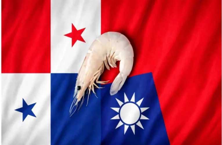 經貿熱絡難撬外交突破　台巴關係仍陷僵局