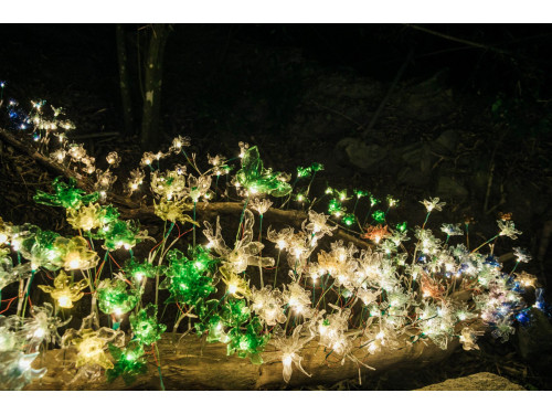 屏東高樹「奇幻大津」2/5開幕　雙金男星劉冠廷回鄉共襄盛舉