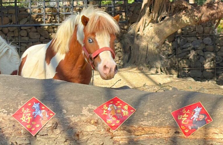 壽山動物園「金馬五吉」年菜上桌   為動物年節增添祝福