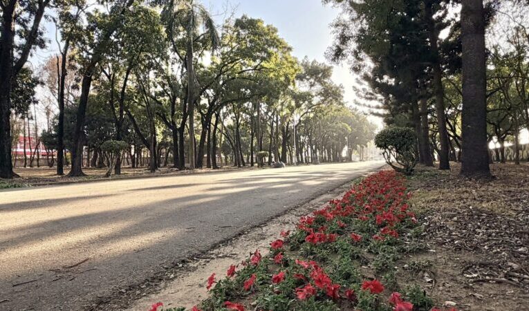 「老兵回營 記憶打卡」永康砲校林蔭綠帶化身市民走春新據點