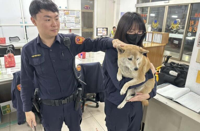燕巢分駐所暖心護柴犬  翻閱舊案找到飼主