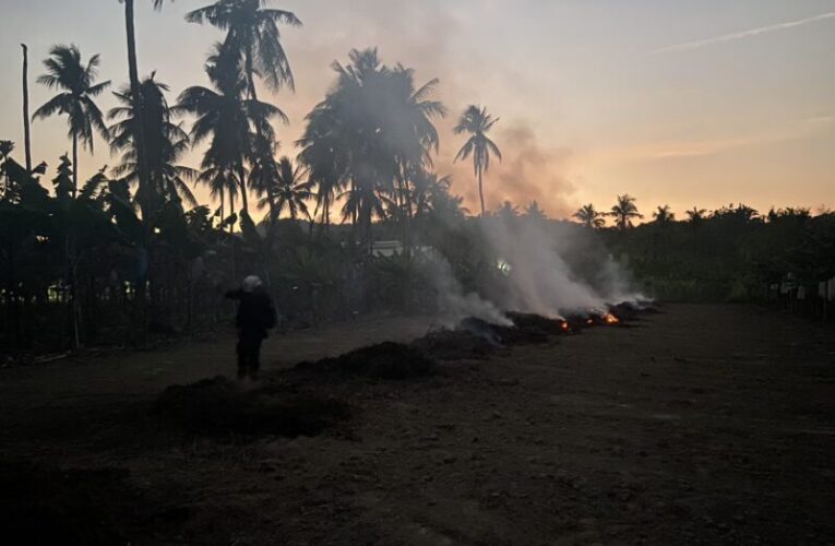 旗山農田違燒釀空汙  消防局迅速撲滅火勢移請環保局裁處