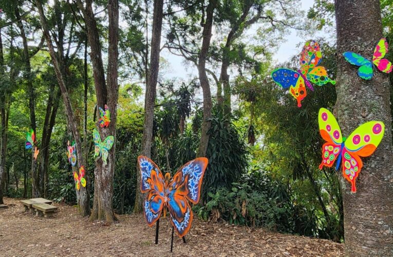 邀你「閃耀台灣之心」　2026埔里森林逐燈祭2/27登場　