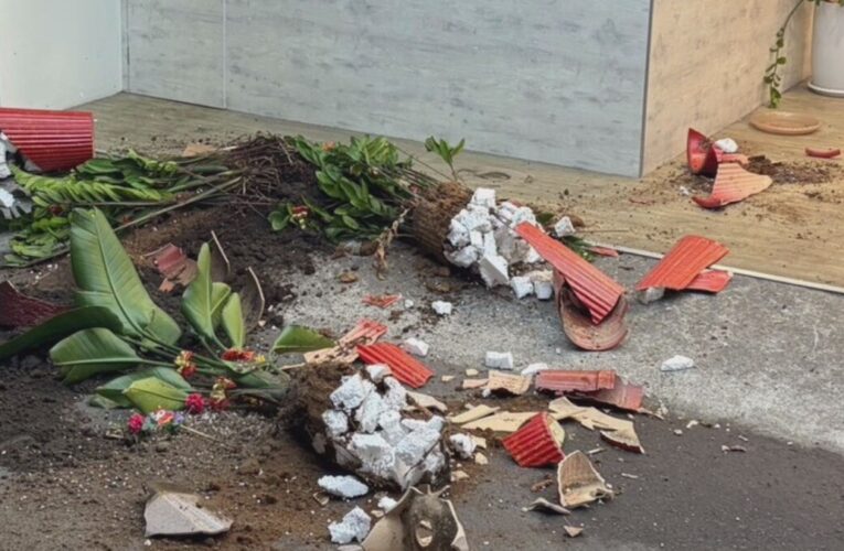 家庭口角演變毀損店家風波 楠梓警依職權啟動家暴通報