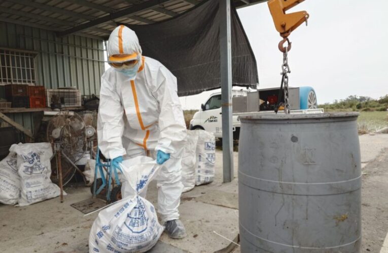 南市蛋雞場確診禽流感  動保處即時處置積極防堵疫情