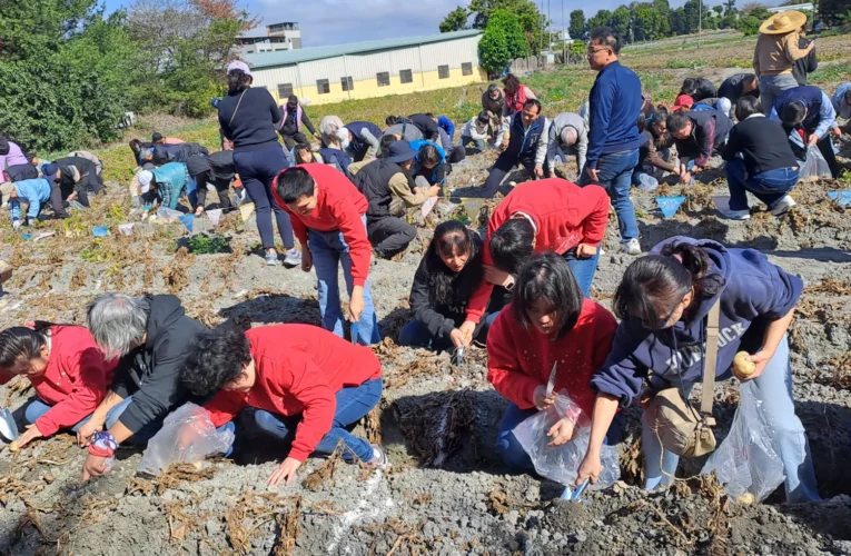2026「搖滾馬鈴薯」產業文化推廣活動登場　走進潭子田園感受農村新魅力