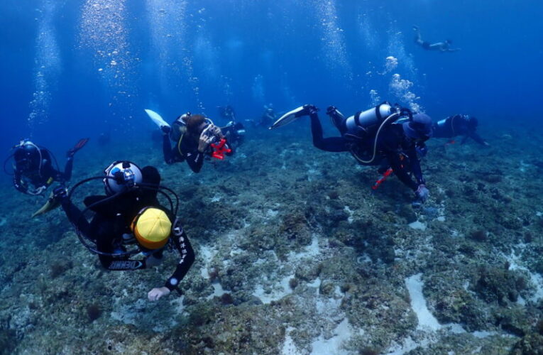 領運動幣去潛水吧！ 海委會加碼，聯合友善潛店守護蔚藍海洋