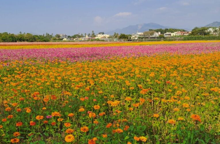 旗山溪流量低迷農田供灌受阻 杉林農民抗爭獲回應：供水延至4日並籲速插秧