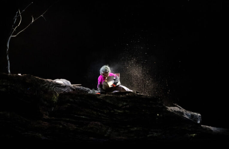 用黑色幽默對決世界末日！比利時靜物劇團帶你參透人「森」