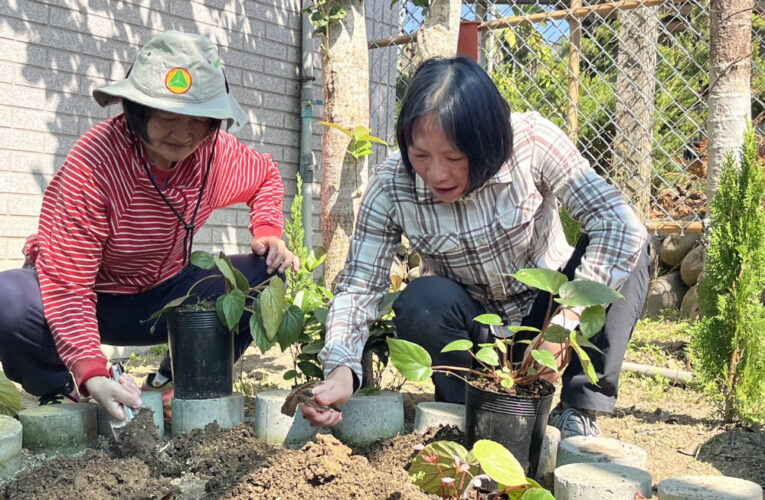 林保南投分署攜手在地社區  復育九九峰秋海棠