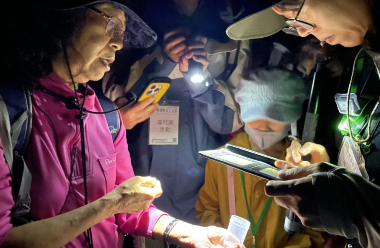 森林夜色微光再現　林保署新竹分署滿月圓螢火蟲季將開跑