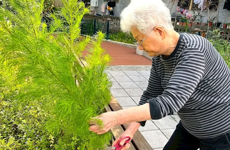 蘭陽仁愛之家安養中心長者用心栽種果實　點滴付出甜甜收穫