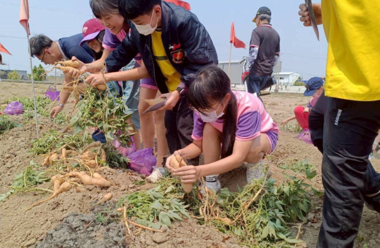 臺南永康國小體驗食農一鏟一笑節氣美味 從產地到餐桌認識地瓜 