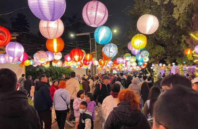 2026桃園燈會12天圓滿落幕　國際菁英紛紛讚嘆：太美了！