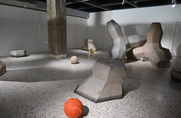 成大《軟性構建 Soft Construction》廖昭豪×洪瑄雙個展