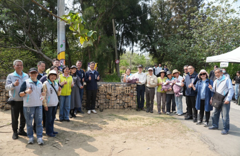 竹市香山濕地綠色旅遊新亮點　香山蟹田啟用守護特有種臺灣旱招潮
