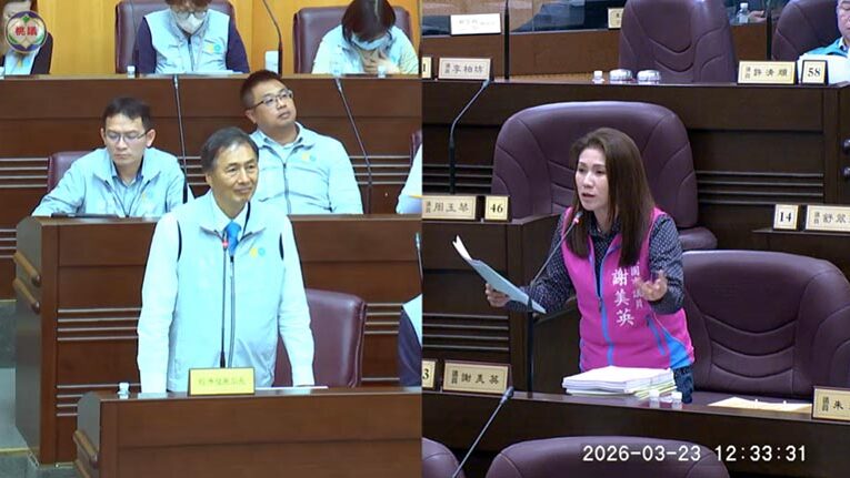 桃園購物節缺乏全國吸引力　謝美英議員促全面檢討