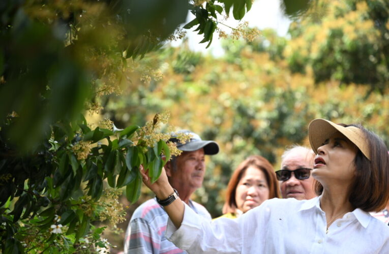 邱議瑩爭取農災救助制度升級　補助加碼、申請簡化　強化農民復耕韌性