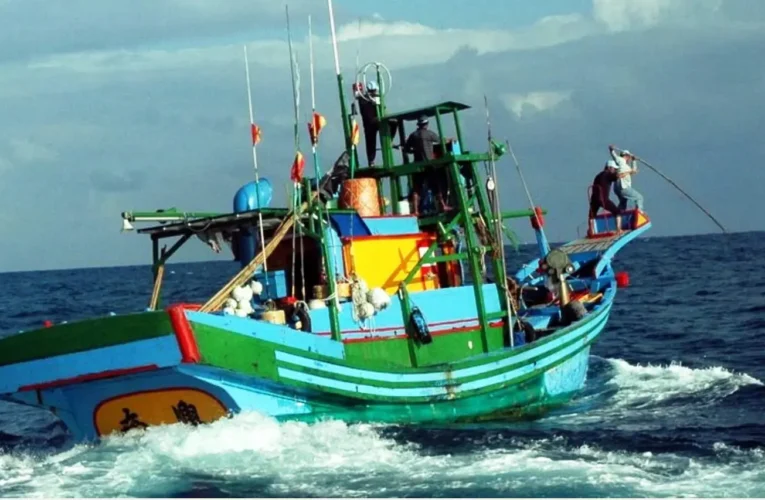 成功鎮鏢旗魚文化共學講座開跑