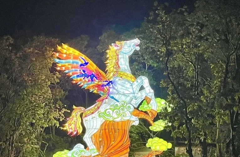  紅螞蟻生態世界的大消息來啦！