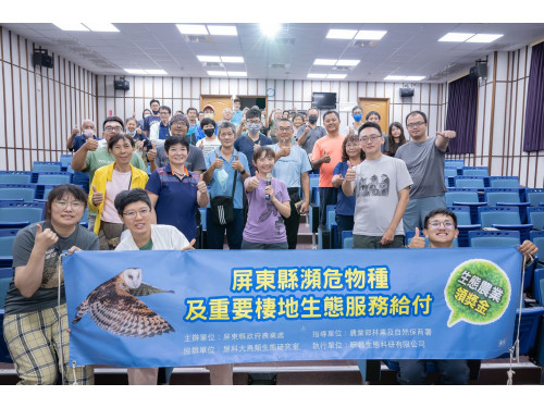 從「暗夜守護者」草鴞 看見國土綠網的關鍵拼圖  屏東率全台之先 打造海豐圳寮濕地保護示範區