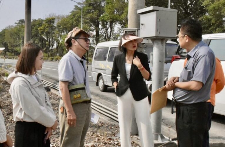 邱議瑩要求台糖台3線林園大道大規模砍伐 公開說明並提出復植方案