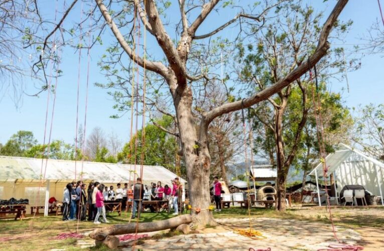 台中扶青社「與你一起長高的勇氣」攀樹體驗活動 陪伴家扶與創路學園孩子走入自然、勇敢突破自我