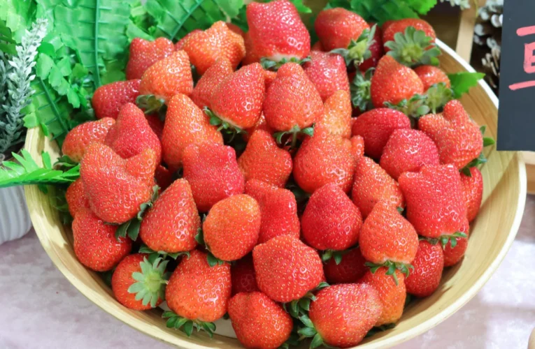 莓寶快閃送好禮！內湖草莓季三大好康攻略